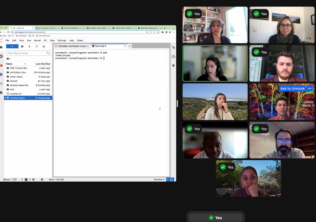 screenshot of zoom window with left side showing screenshare of 2i2c JupyterHub and right side faces of participants, some of whom have a green checkmark with 'yes'